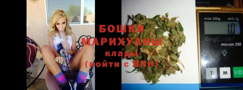 Бошки марихуана Bruce Banner  продажа наркотиков  omg маркетплейс  Рубцовск 